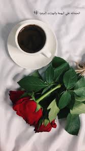 pin by saramohamed on arabic quotes coffee flower good morning cards good morning flowers