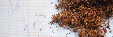 A marlboro red contains 10.9 mg of nicotine, and but the question shouldn't be how many milligrams of nicotine are in a cigarette. How Much Nicotine Is In One Cigarette Rien Pipe Stop Smoking While Smoking