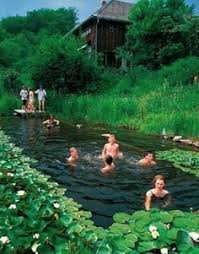 17 Natural Swimming Pools You Wish Were In Your Backyard Natural Swimming Pools Natural Swimming Ponds Natural Pool