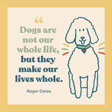 Check out our pet loss quotes selection for the very best in unique or custom, handmade pieces from our digital prints shops. 20 Loss Of A Dog Quotes For Sympathy And Comfort Daily Paws
