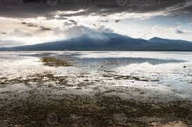 My name is abdul and if you and your travel mates are up for an adventure please come and see me at my travel agentcy. Volcano Rinjani Lombok From The Island Of Gili Pantangan 1326002 Stock Photo