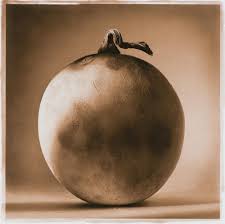 Linda Ingraham Paintings & Artwork for Sale