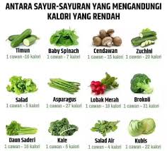 Sayuran paling menyehatkan tubuh di komsusi setiap hari. Kurus Sihat Fit Ketahui Jenis Sayur Sayuran Yang Facebook