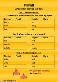Usually add the letter s to the end of a singular noun to make it plural. Plurals Grade 4 Worksheet