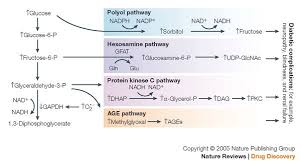 Image result for Exenatide