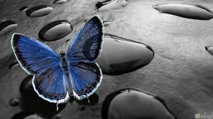 18 regali 2020 filmi full hd izleyeceklere duygusal bir dram film keyfi dilemekteyiz. ØµÙˆØ± Ø®Ù„ÙÙŠØ§Øª Hd Ø·Ø¨ÙŠØ¹Ø© ÙˆÙ…Ø¯Ù† ÙˆÙØ±Ø§Ø´Ø§Øª 2020