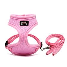 The vest shape of this harness provides comfort and support to the kitty during hectic outdoor. Escape Proof Pet Cat Harness With Leash Adjustable Soft Mesh Best For Walking Walmart Canada