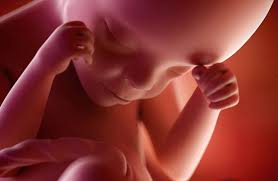 A 8 mois de grossesse, votre ventre a bien grossi : 24eme Semaine De Grossesse 26 Sa Cote Bebe Et Maman 6eme Mois