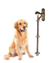 Decide in advance where you want your dog to go potty and which cues you will give her to indicate. Dog Bells For Potty Training Door Hanging Leather Sleigh Bell For Dogs Perfect Housetraining For Pooping Pets Puppies In Your Bathroom Esg12465 China Dog Bells And Hanging Dog Bells