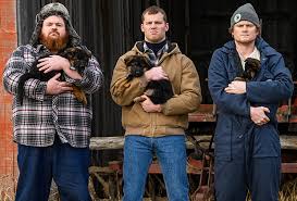 Finding stormy a…, with scene descriptions. Letterkenny Season 10 Two Seasons In Process Know Production Status Coming Storyline Casts And More