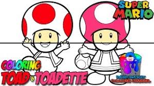 The coloring of the spots on any respective toad's mushroom cap reveals intimate details about their personality, especially in the paper mario series and the games that follow it. How To Color Toad And Toadette Super Mario Nintendo Coloring Page Youtube