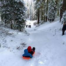 rolex dog sledding with my submariner. 10 Best Sledding And Tubing Places In Lake Tahoe Lake Tahoe
