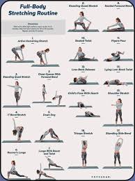 Image result for Stretching Program