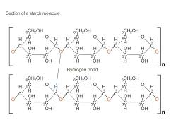 We did not find results for: Section Of A Starch Molecule The Siemens Stiftung Media Portal