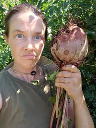 We hope your Monday was Un-Beet-Able! Urban Farmer Justine may have  uprooted one of the biggest #beets we've ever grown at H2H. #backyardgarden  #kitchengarden #urbanfarming #soilhealth #organic #organicgardeningmethods  #growwhatyoueat #rootvegetables ...