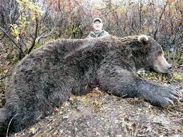 In 2007, about 1,900 brown bears were harvested in alaska. Alaska Wilderness Charters Guiding Alaska Brown Bear Hunting