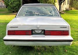 Image result for Radiant Silver 1984 Plymouth