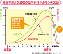 産後の身体ケア 産褥期のホルモンバランスを整える 女性ホルモンを増やす生活スタイルをご紹介 ママんちゅぬ宝 ホルモン 女性ホルモン エストロゲン