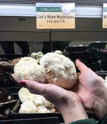The best way to eat mushrooms: Lion S Mane Mushrooms Info And Recipes Harvest Market Natural Foods