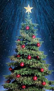 Provided to youtube by universal music groupmy christmas tree (stereo) · the supremesmerry christmas℗ a motown records release; Why Is There A Star On Top Of My Christmas Tree Davidspell Com