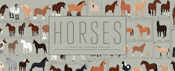 Horses A Chart Of Notable Breeds A Hand Illustrated Art