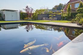 Japanische gärten garten bilder gartenbau lush teich. Villa Im Bauhausstil Mit Teich Im Garten Contemporary Landscape Dortmund By Dipl Ing Carsten Krafft Architekt