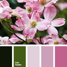 Discover the colors that flatter you best with color analysis cards, online courses and color fans. Shades Of Green And Pink Colors Color Palette Ideas