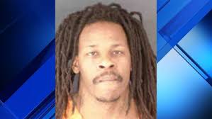 Miami man went to Sarasota to steal catalytic converters, killed man in  hit-and-run, cops say