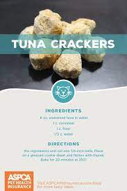 3 Simple Homemade Cat Treat Recipes Homemade Cat Treats Recipes Cat Treats Homemade Pet Treats Recipes