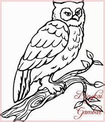 Contoh gambar sketsa hewan dari beragam jenis. Gambar Sketsa Burung Hantu Radea