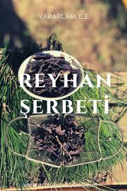 Reyhan Serbetinin Tarifi Ve Reyhan Serbetinin Faydalari Yemek Tarifleri Yemek Tarifler