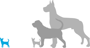 Free Free 336 Long Haired Chihuahua Svg Free SVG PNG EPS DXF File