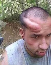 Bigfoot schnauzer patrol