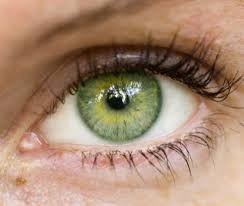 Green Eye Color Is The Rarest Color Found Around The World And It Is Estimated That Only Around 2 Of The World S Populati Green Eyes Eye Color Beautiful Eyes