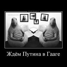 Путин выступает за уважение к суверенитету других государств, - Песков - Цензор.НЕТ 497