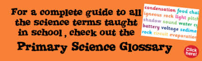 Check spelling or type a new query. What Is A Habitat Theschoolrun