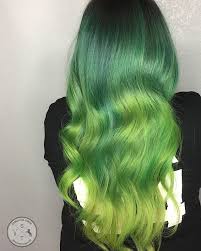 Ten Points For Slytherin Starting My Saturday Off Right With Some Green And Some Harry Potter References Lightened W Arctic Fox Hair Dye Fox Hair Dye Hair