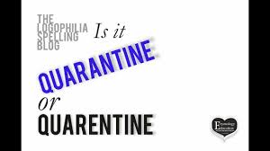 How To Spell Video Quarentine Or Quarantine Youtube