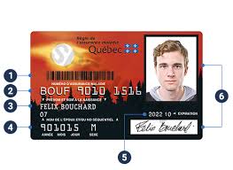 Free fake auto insurance card template : Using Your Health Insurance Card Regie De L Assurance Maladie Du Quebec Ramq