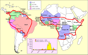 Image result for Yellow Fever