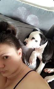 The first picture I took of her. She was 9 weeks old 📷🐶 #edie