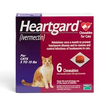 Cat fleas are a common parasite which feed on the blood of cats causing anemia & transmitting parasites. Heartgard For Cats Ivermectin Heartworm Preventative