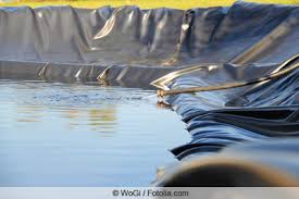 Teichfolie Faltenfrei Verlegen Selbst In Den Ecken So Geht S Gartenlexikon De