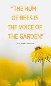 Now you've got your plants for bees and butterflies picked out, you're ready to plant. Bee Beehive Things We Love Sweet Bee Quotes Bee Quotes Bee Bee Garden