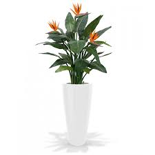 Orange Bird Of Paradise In Pot Pin On Floral