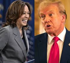 Cassandra (Tracy) Sh (@roseshouder40)