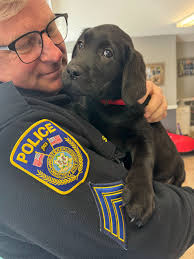 Art FY class bringing the sidewalks to life, one chalk masterpiece at a  time. Photo credit: Lenee Brown, Chris Torres, Anastasia Vladymyrenko, and  Alma Dovolani.
