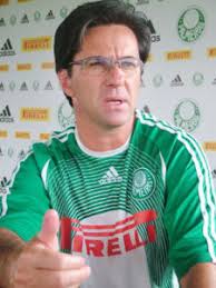 Resultado de imagem para caio junior