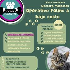 Clínica Veterinaria Doctora Mascotas