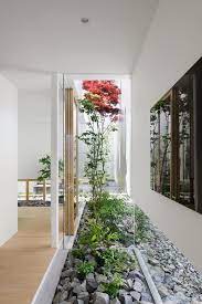 La Espectacularidad De Un Patio Interior Garden Indoor Gardens Patio Interior